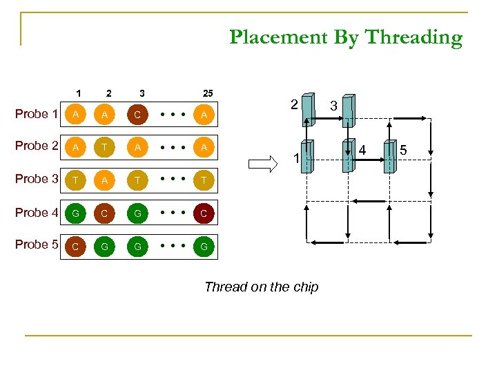 Placement By Threading 1 2 3 25 Probe 1 A A C A Probe
