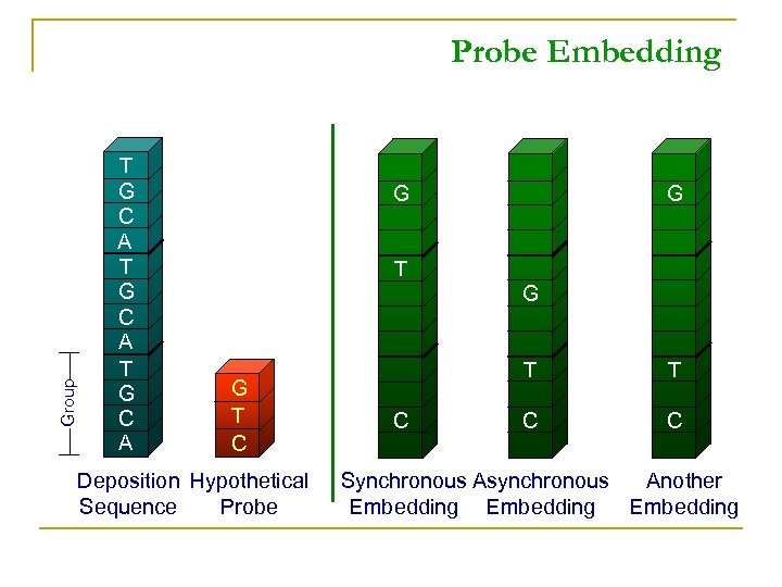 Group Probe Embedding T G C A G G T C Deposition Hypothetical Sequence