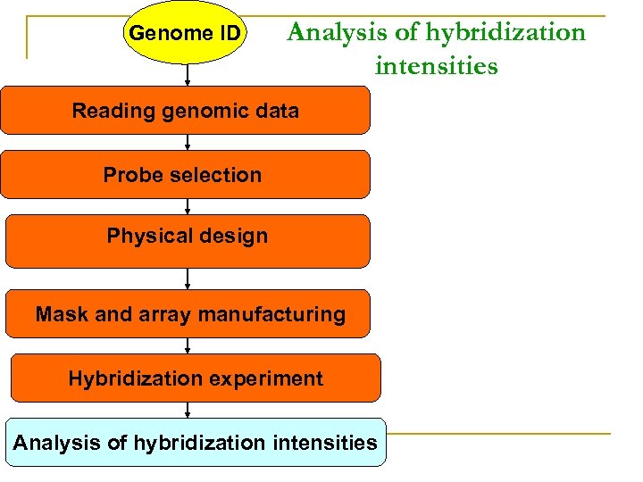 Genome ID Analysis of hybridization intensities Reading genomic data Probe selection Physical design Mask