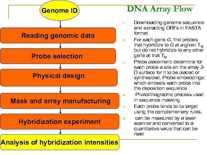 DNA Array Flow Genome ID 1. Reading genomic data 2. Probe selection 3. Physical