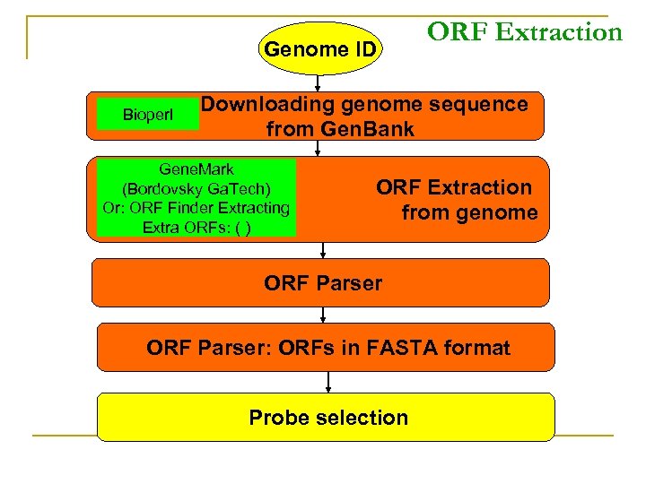 Genome ID Bioperl ORF Extraction Downloading genome sequence from Gen. Bank Gene. Mark (Bordovsky