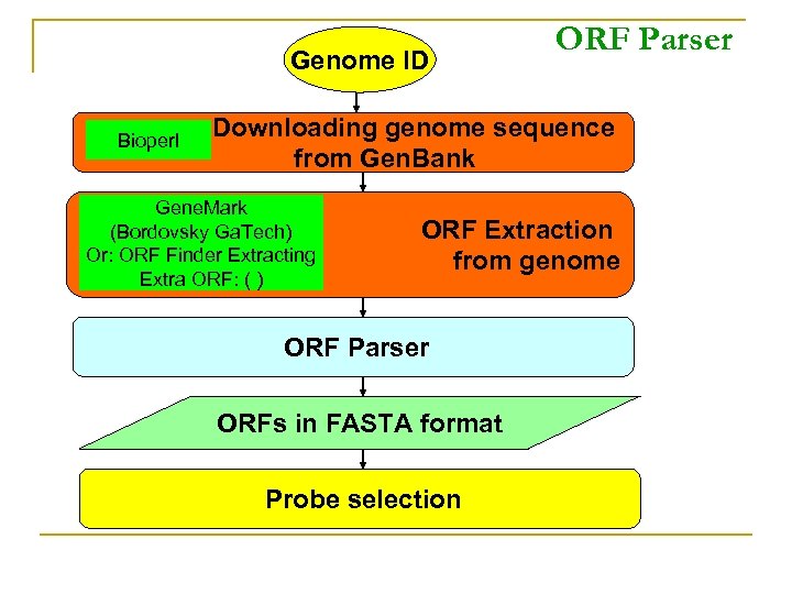 Genome ID Bioperl ORF Parser Downloading genome sequence from Gen. Bank Gene. Mark (Bordovsky