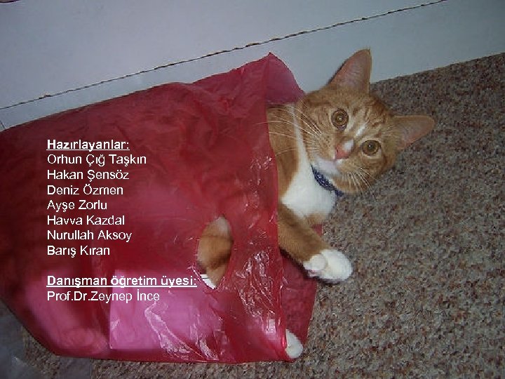 Hazırlayanlar: Orhun Çığ Taşkın Hakan Şensöz Deniz Özmen Ayşe Zorlu Havva Kazdal Nurullah Aksoy