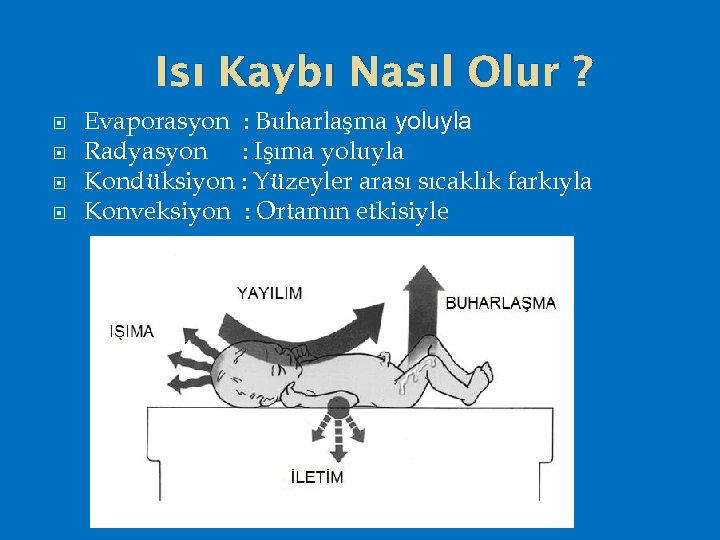 Isı Kaybı Nasıl Olur ? Evaporasyon : Buharlaşma yoluyla Radyasyon : Işıma yoluyla Kondüksiyon