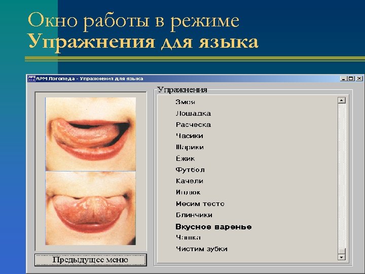 Окно работы в режиме Упражнения для языка 