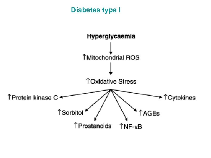 Diabetes type I 