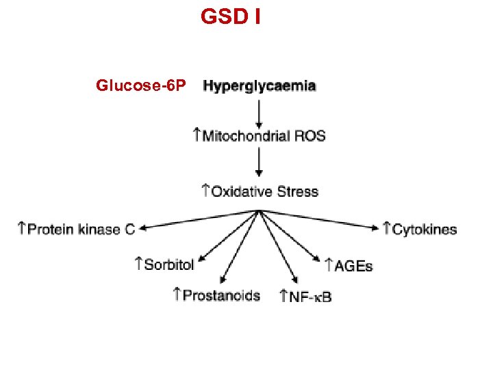GSD I Glucose-6 P 