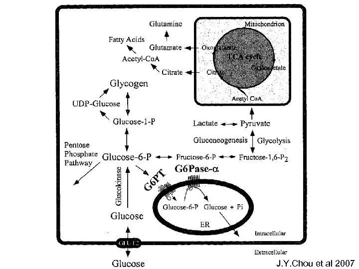J. Y. Chou et al 2007 