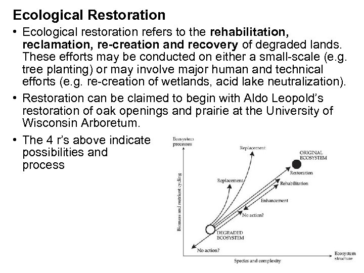Ecological Restoration • Ecological restoration refers to the rehabilitation, reclamation, re-creation and recovery of