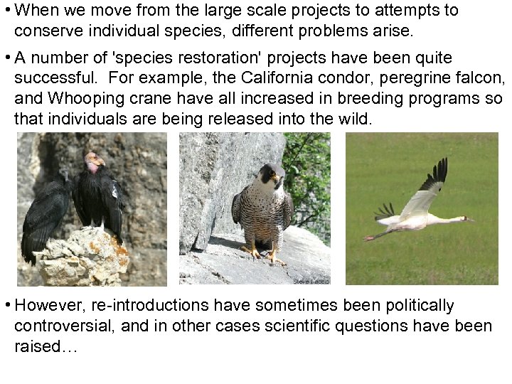  • When we move from the large scale projects to attempts to conserve