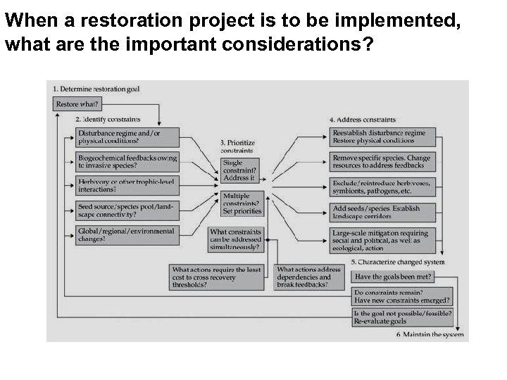 When a restoration project is to be implemented, what are the important considerations? 