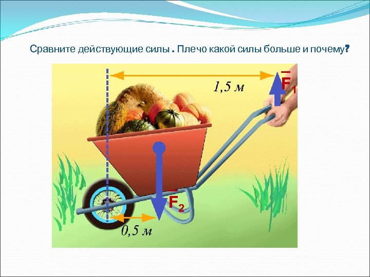 Сравните действующие силы. Плечо какой силы больше и почему? _ F 1 _ F