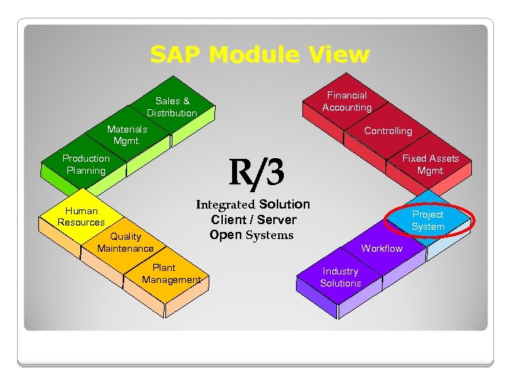 SAP Module View Financial Accounting Sales & Distribution Materials Mgmt. Controlling R/3 Production Planning