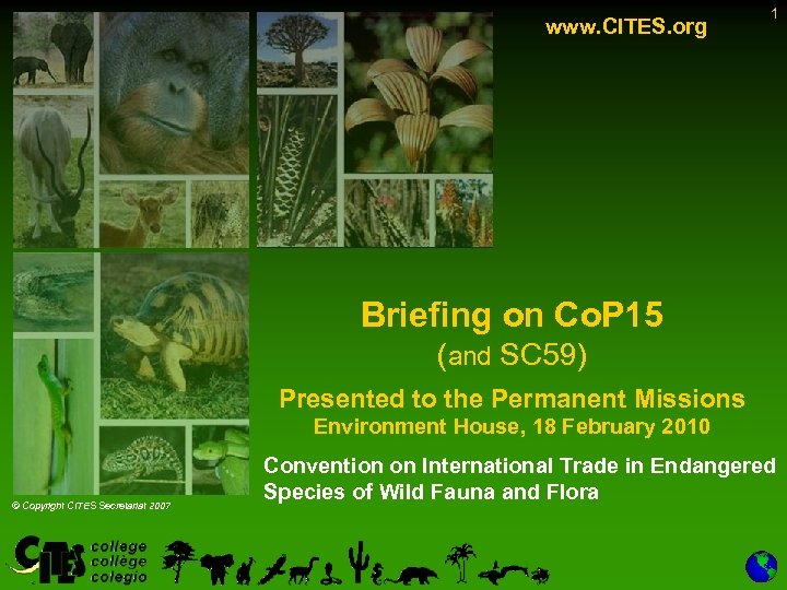 www. CITES. org 1 Briefing on Co. P 15 (and SC 59) Presented to