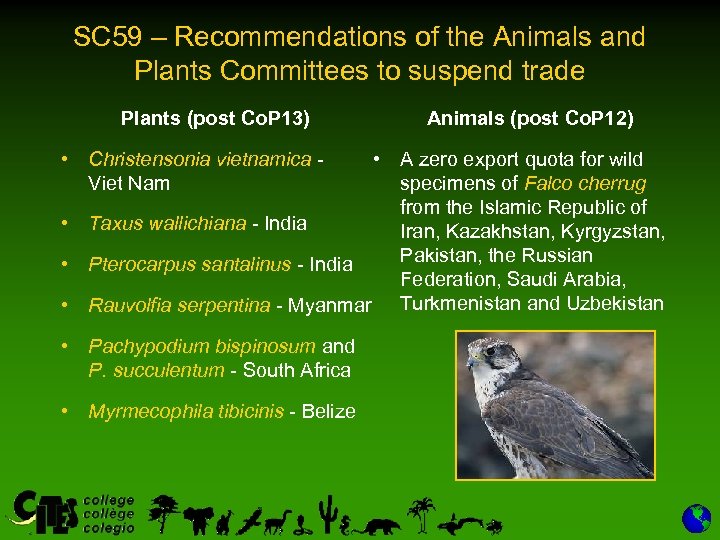 SC 59 – Recommendations of the Animals and Plants Committees to suspend trade Plants