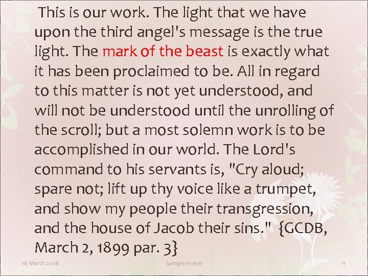 This is our work. The light that we have upon the third angel's message