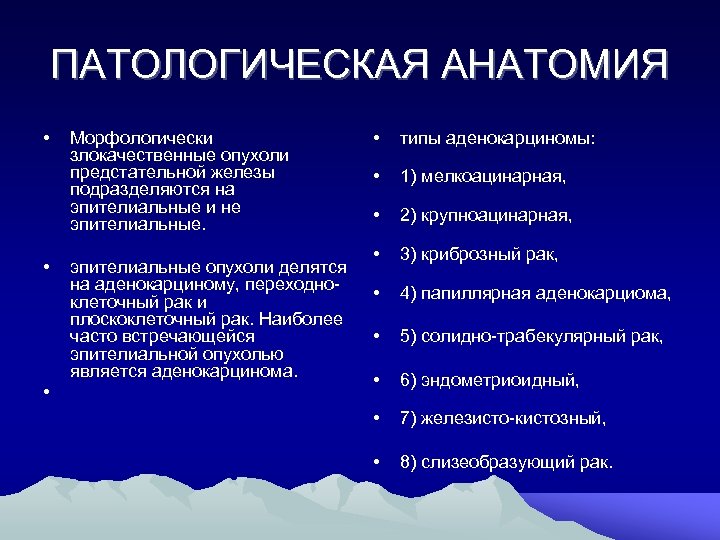 ПАТОЛОГИЧЕСКАЯ АНАТОМИЯ • • • Морфологически злокачественные опухоли предстательной железы подразделяются на эпителиальные и