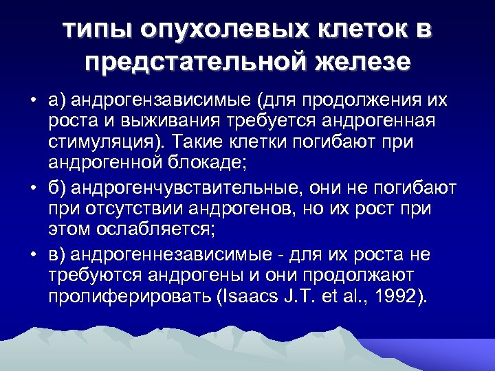 типы опухолевых клеток в предстательной железе • а) андрогензависимые (для продолжения их роста и