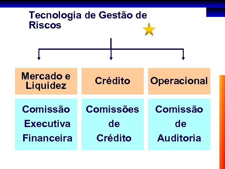 Tecnologia de Gestão de Riscos Mercado e Liquidez Crédito Operacional Comissão Executiva Financeira Comissões