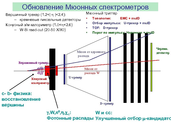 Обновление Мюонных спектрометров Вершинный трекер (1. 2<| |<2. 4): – кремневые пиксельные детекторы Конусный