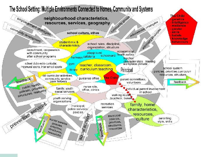 Each School has its own ecology 