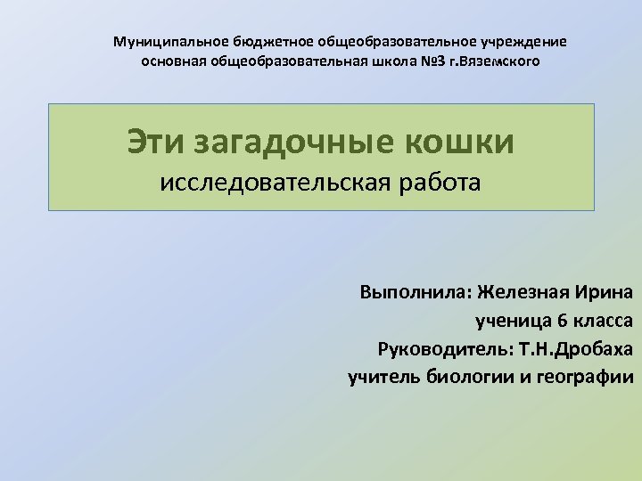 Муниципальное бюджетное общеобразовательное учреждение основная общеобразовательная школа № 3 г. Вяземского Эти загадочные кошки