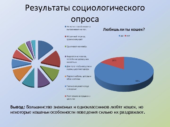 Результаты социологического опроса Вывод: Большинство знакомых и одноклассников любят кошек, но некоторые кошачьи особенности