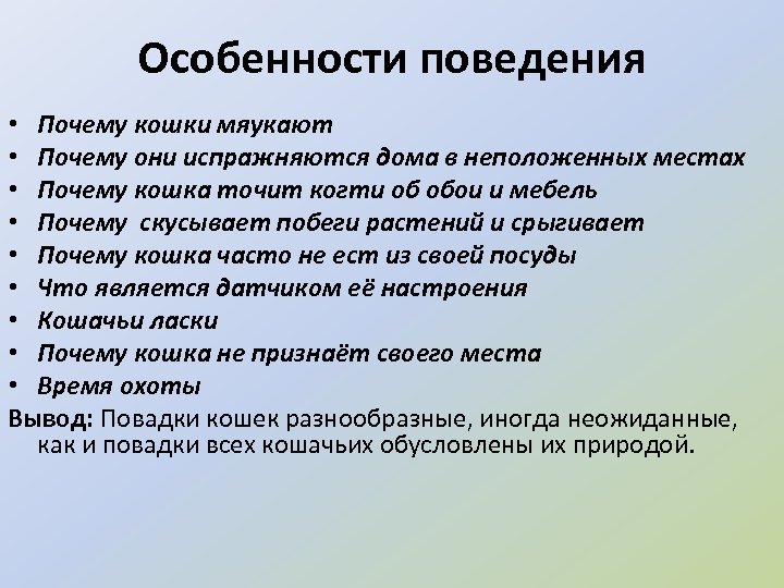 Особенности поведения • Почему кошки мяукают • Почему они испражняются дома в неположенных местах