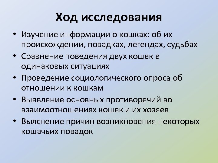 Ход исследования • Изучение информации о кошках: об их происхождении, повадках, легендах, судьбах •