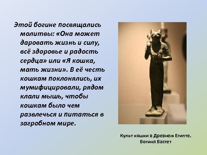 Этой богине посвящались молитвы: «Она может даровать жизнь и силу, всё здоровье и радость