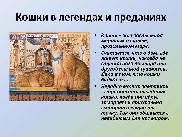 Кошки в легендах и преданиях • Кошки – это гости мира мертвых в нашем,