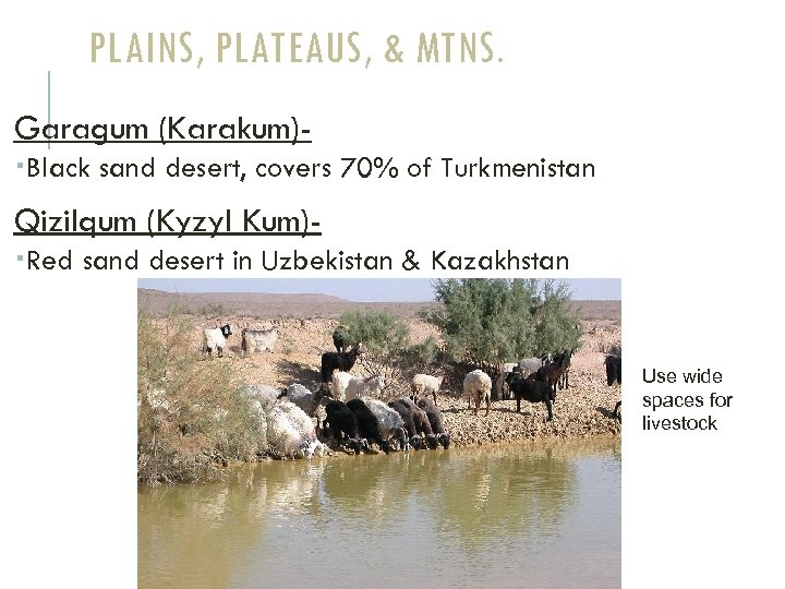 PLAINS, PLATEAUS, & MTNS. Garagum (Karakum) Black sand desert, covers 70% of Turkmenistan Qizilqum