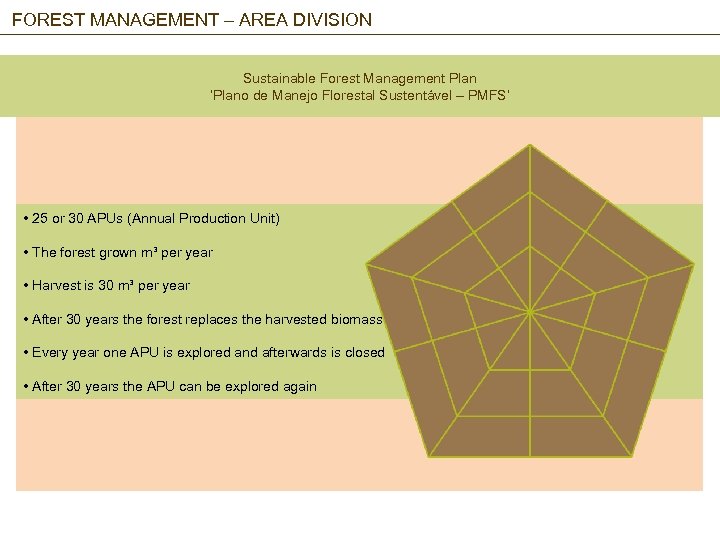 FOREST MANAGEMENT – AREA DIVISION Sustainable Forest Management Plan ‘Plano de Manejo Florestal Sustentável