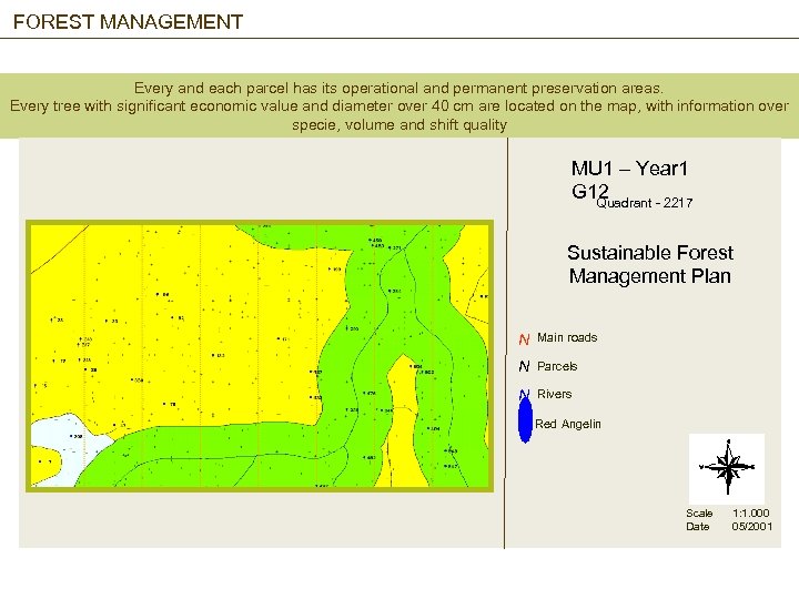 FOREST MANAGEMENT Every and each parcel has its operational and permanent preservation areas. Every