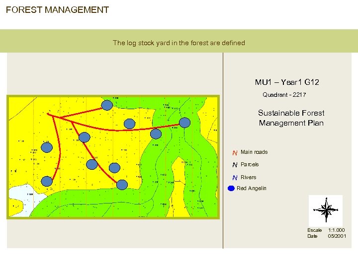 FOREST MANAGEMENT The log stock yard in the forest are defined MU 1 –