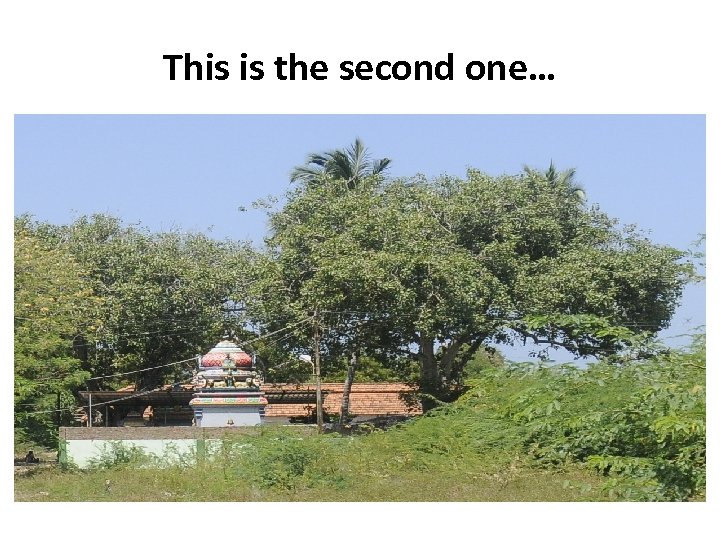 This is the second one… 