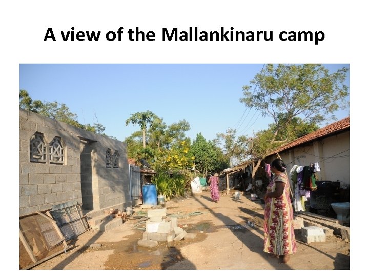 A view of the Mallankinaru camp 