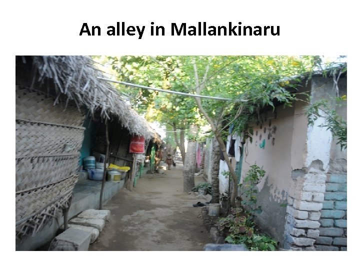 An alley in Mallankinaru 