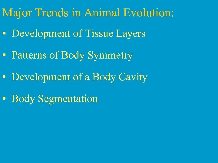 Major Trends in Animal Evolution: • Development of Tissue Layers • Patterns of Body