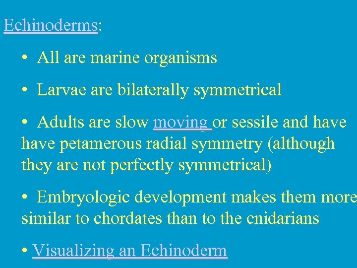 Echinoderms: • All are marine organisms • Larvae are bilaterally symmetrical • Adults are