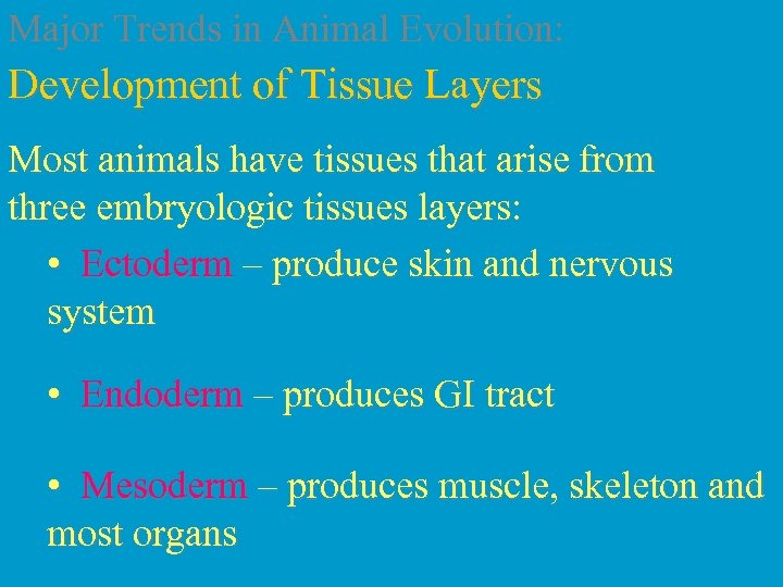 Major Trends in Animal Evolution: Development of Tissue Layers Most animals have tissues that