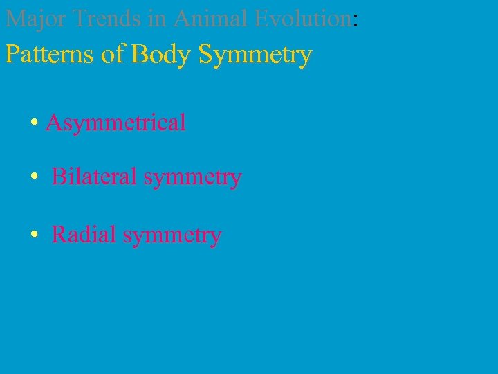 Major Trends in Animal Evolution: Patterns of Body Symmetry • Asymmetrical • Bilateral symmetry