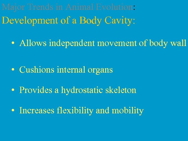 Major Trends in Animal Evolution: Development of a Body Cavity: • Allows independent movement