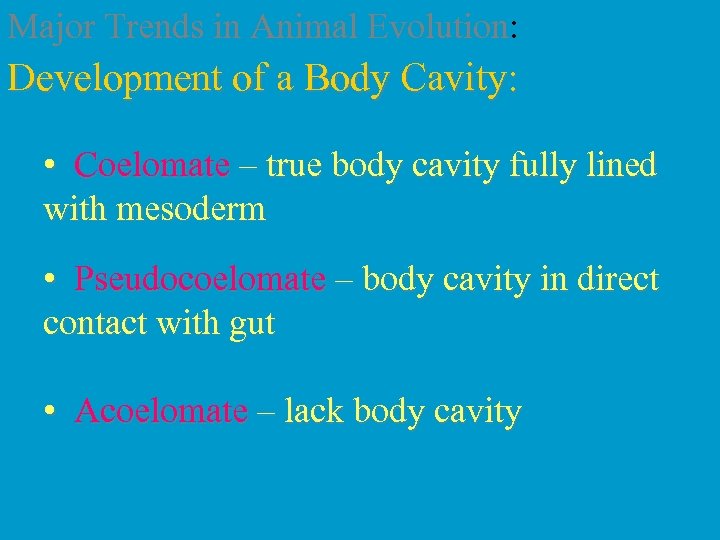 Major Trends in Animal Evolution: Development of a Body Cavity: • Coelomate – true