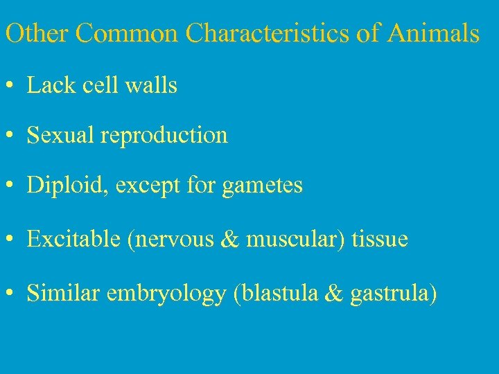 Other Common Characteristics of Animals • Lack cell walls • Sexual reproduction • Diploid,