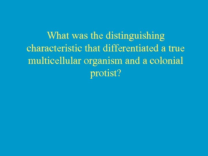 What was the distinguishing characteristic that differentiated a true multicellular organism and a colonial