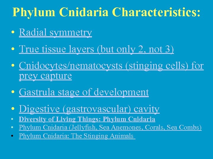 Phylum Cnidaria Characteristics: • Radial symmetry • True tissue layers (but only 2, not