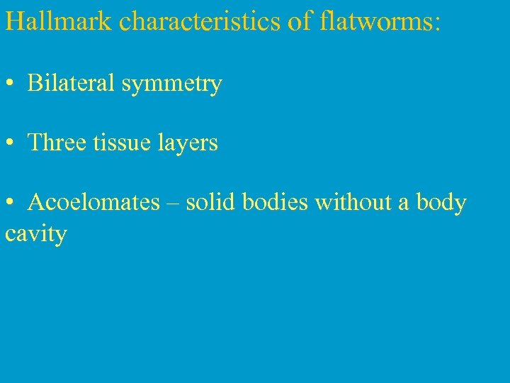 Hallmark characteristics of flatworms: • Bilateral symmetry • Three tissue layers • Acoelomates –