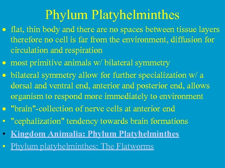 Phylum Platyhelminthes · flat, thin body and there are no spaces between tissue layers