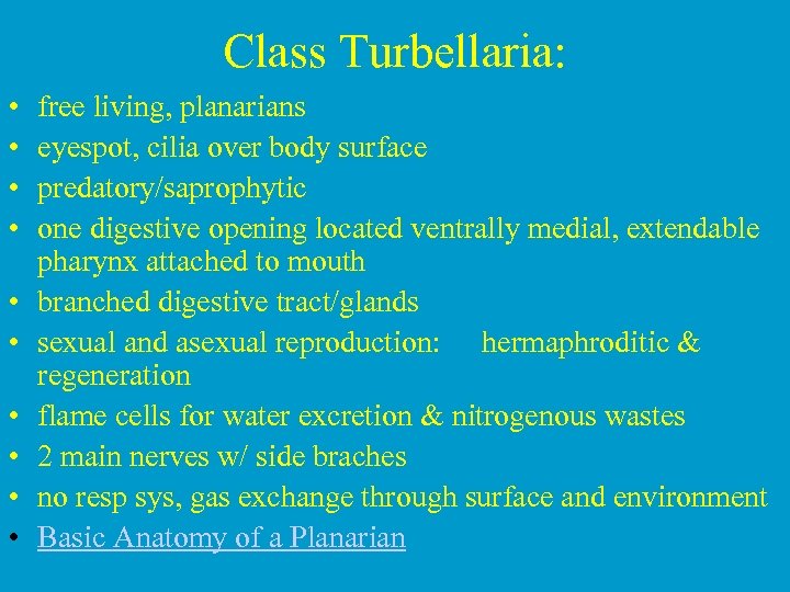 Class Turbellaria: • • • free living, planarians eyespot, cilia over body surface predatory/saprophytic